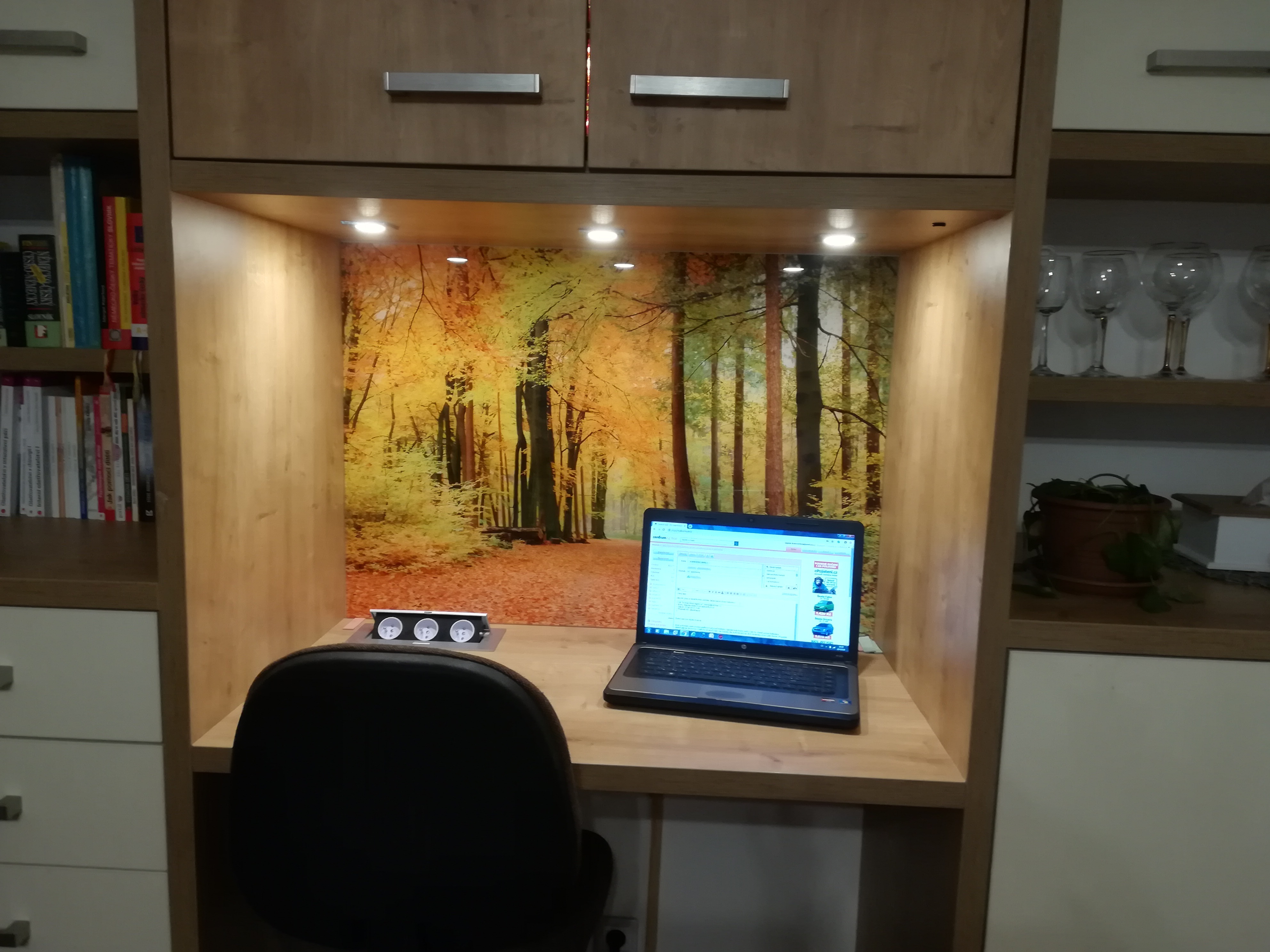 Skleněná zástěna Les