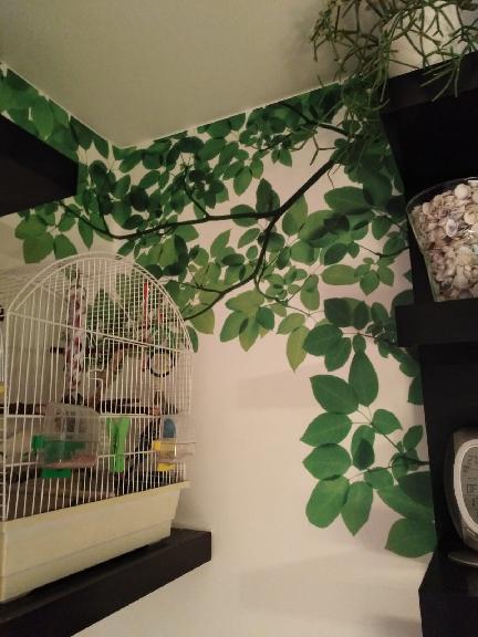 Vliesová fototapeta na míru