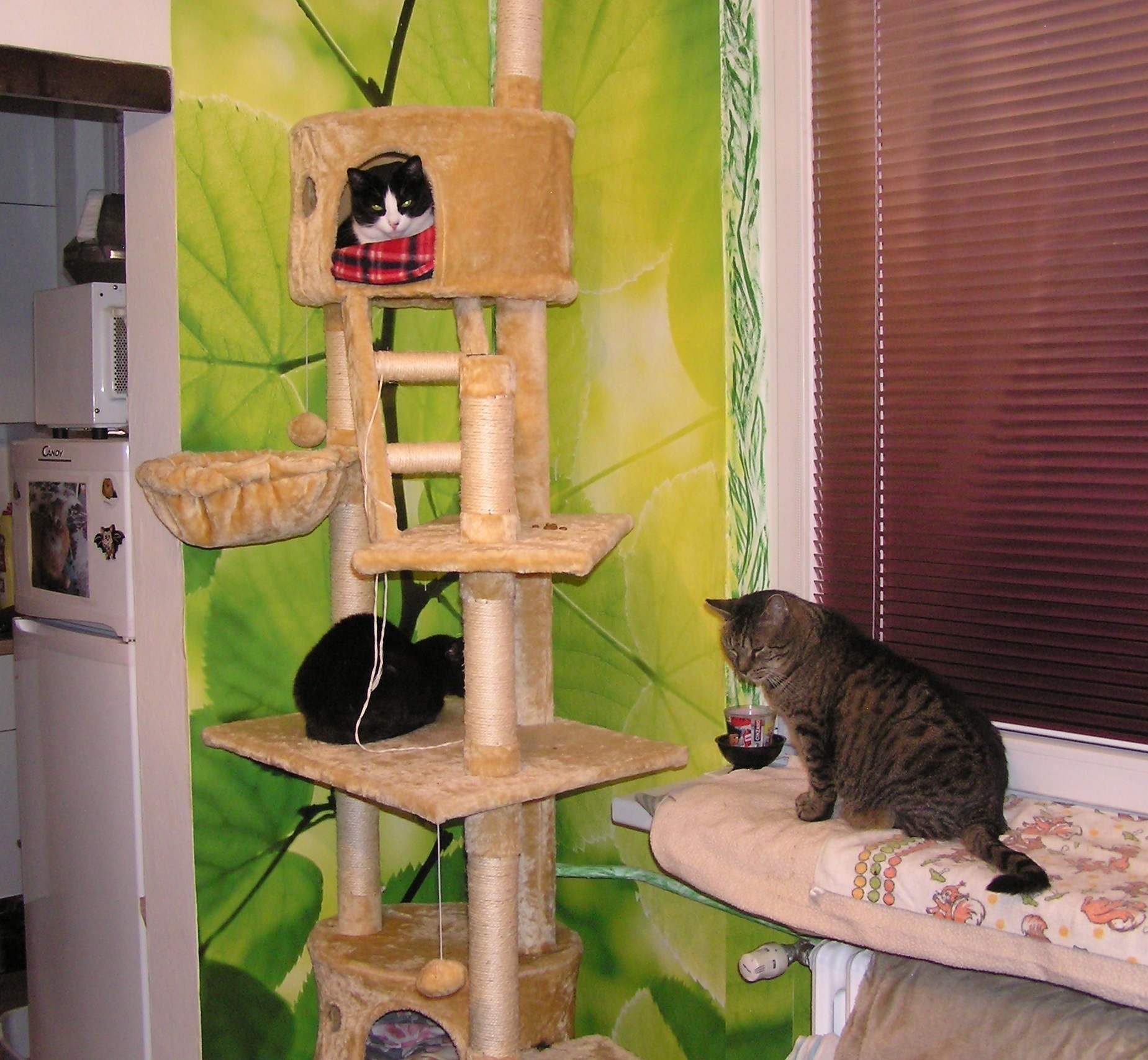 Vliesová fototapeta na zeď Listí