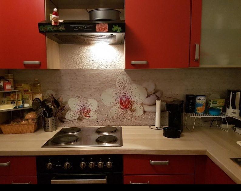 Samolepící fototapeta do kuchyně Zahrada zen